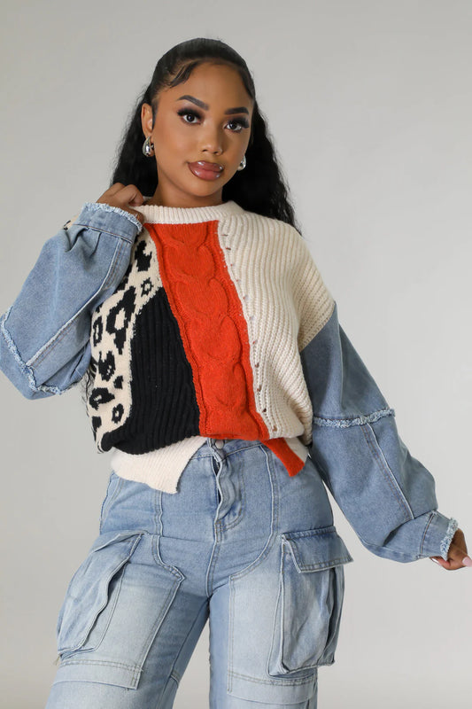 Colorblock Long Sleeve Knit Top (Plus)